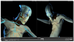 Videolink - NewTek - Lightwave & Application Software